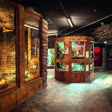 Apartament Im Freizeitpark Weissenhaeuser *