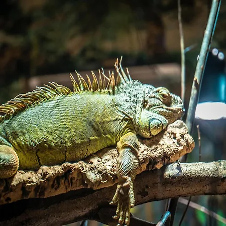 Im Freizeitpark Weissenhaeuser Lejlighed